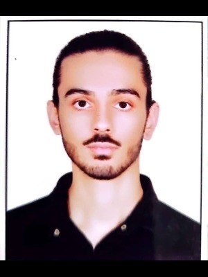 رضا صفوی